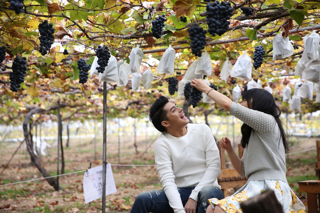 Noo Phước Thịnh lại "hớp hồn" khán giả với MV mừng sinh nhật - 5