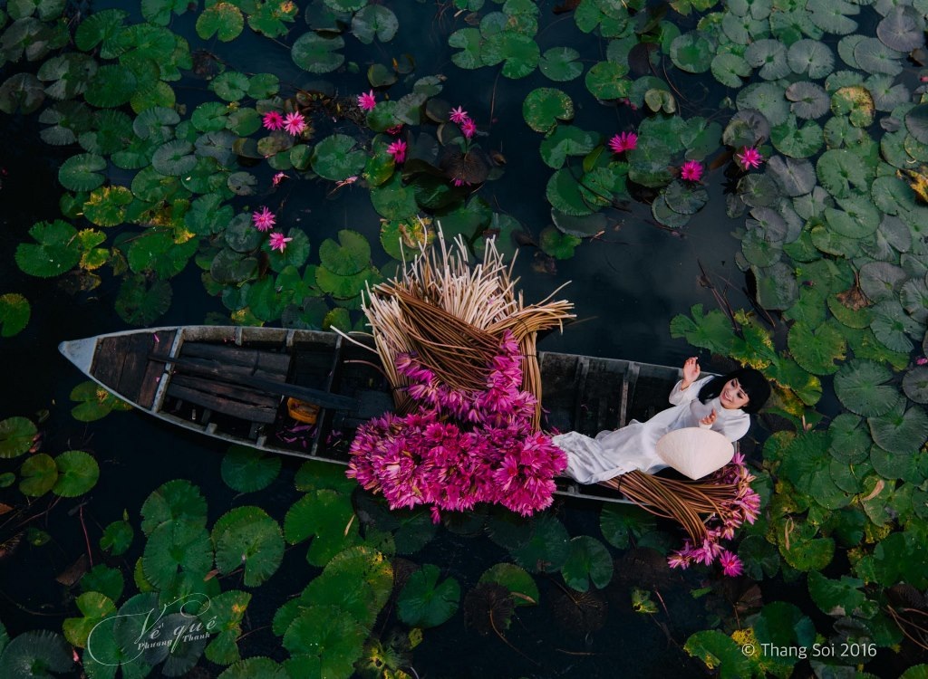 Những bộ ảnh đẹp Việt Nam sẽ đưa bạn đến các vùng đất xa xôi, nơi có những bức tranh đẹp như mơ. Những cánh rừng xanh rì, những triền đồi trù phú và những con sông yên ả sẽ khiến cho trí tưởng tượng của bạn trỗi dậy. Hãy thưởng thức cùng chúng tôi những bức ảnh đẹp Việt Nam và cảm nhận sự hoàn hảo trong tự nhiên.