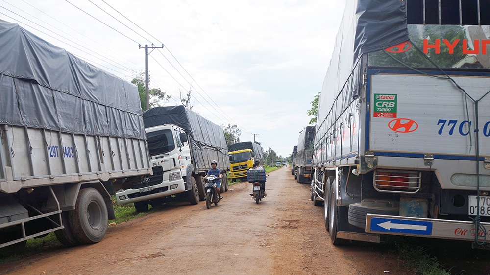 Hàng trăm chiếc xe tải hạng nặng sẽ đậu suốt dọc tuyến đường để chờ đêm đến vận chuyển trái cây tỏa đi khắp các tỉnh trong cả nước.
