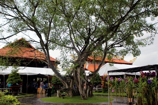 Cận cảnh nhà thờ Tổ chục tỉ của Hoài Linh - 7 Cận cảnh nhà thờ Tổ chục tỉ của Hoài Linh - 7