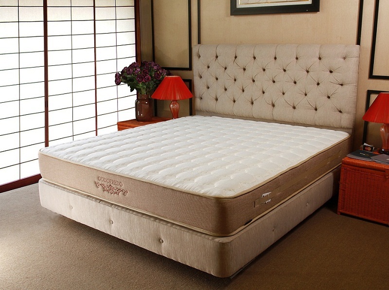 DEMXINH.VN – Đổi đệm cũ lấy đệm mới - 3 DEMXINH.VN – Đổi đệm cũ lấy đệm mới - 3