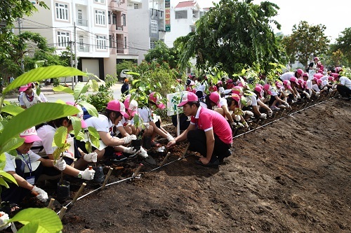 Gần 1000 người ra quân “ bơm” oxy cho thành phố - 2 Đông đảo các em học sinh đang say sưa với công việc trồng cây tại Aeon Bình Tân