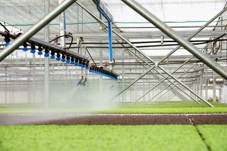 “Mục sở thị” công nghệ nông nghiệp đỉnh cao của Israel tại VinEco - 3 “Mục sở thị” công nghệ nông nghiệp đỉnh cao của Israel tại VinEco - 3