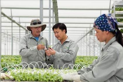 “Mục sở thị” công nghệ nông nghiệp đỉnh cao của Israel tại VinEco - 4 “Mục sở thị” công nghệ nông nghiệp đỉnh cao của Israel tại VinEco - 4