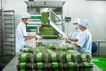 “Mục sở thị” công nghệ nông nghiệp đỉnh cao của Israel tại VinEco - 5 “Mục sở thị” công nghệ nông nghiệp đỉnh cao của Israel tại VinEco - 5
