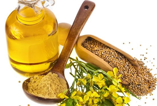 Xương chắc khỏe, tăng cường thị lực nhờ dầu ăn - 2 Dầu thực vật chứa nhiều chất béo thiết yếu, tốt cho sức khỏe