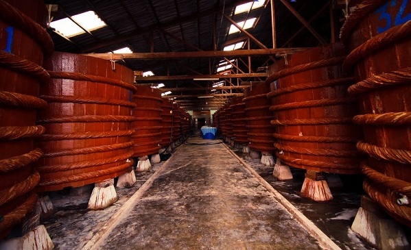 Nước mắm Phú Quốc – “Lặng lẽ” một báu vật - 2 Thùng dùng để ủ - chượp cá phải là loại gỗ “lành tính”