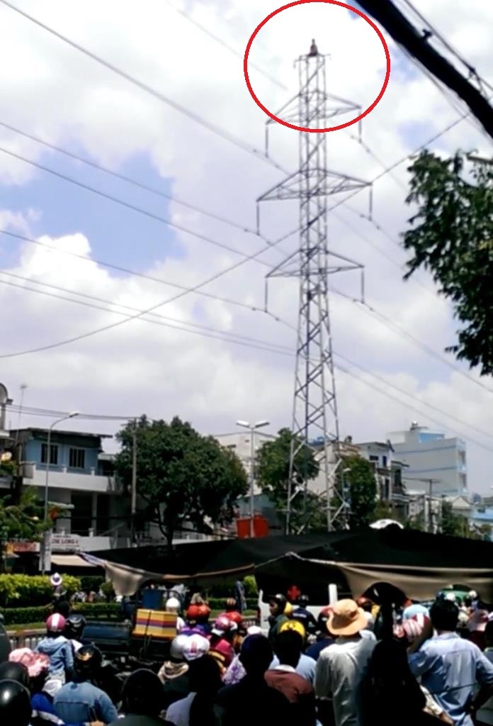 Giải cứu người đàn ông đu mình trên trụ điện cao thế gần 2 tiếng - 1 Người đàn ông trèo lên ngọn trụ điện cao thế và cố thủ trên đó suốt 2 giờ