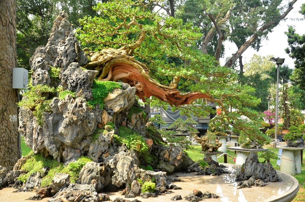 dsc1738-1454469735050