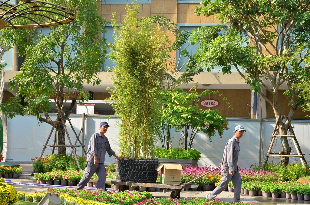 
Các công nhân đang triển khai trồng cây, hoàn thiện những hạng mục cuối cùng
