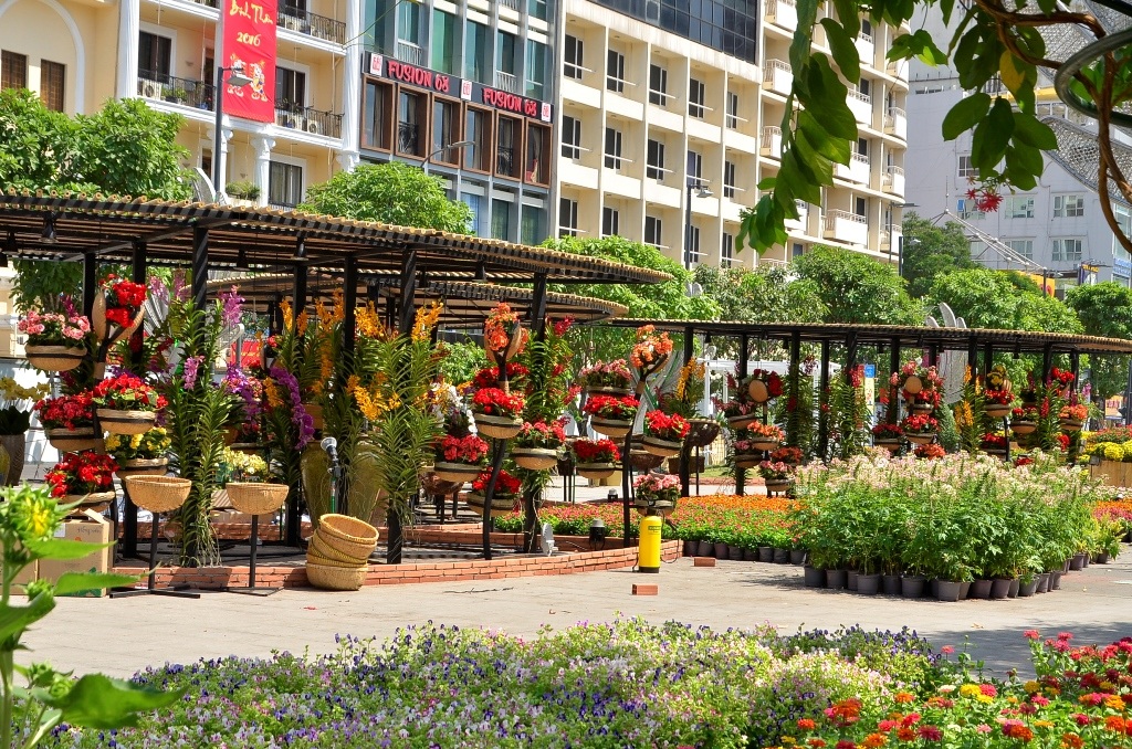 Nhiều loại hoa tươi với những màu sắc rực rỡ đã được mang đến đường hoa năm nay