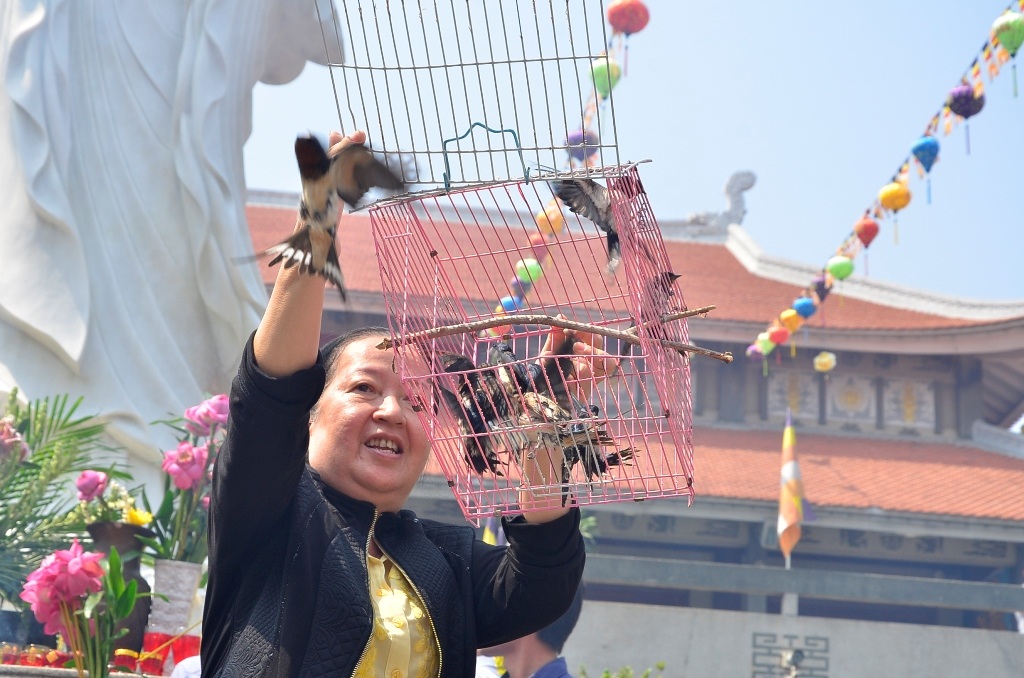 Trong số 10 chú chim được phóng sinh thì chỉ 3 con tự bay ra khỏi lồng, số còn lại bay yếu ớt