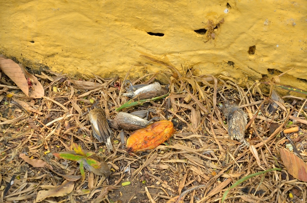 dsc3614-1456130218948