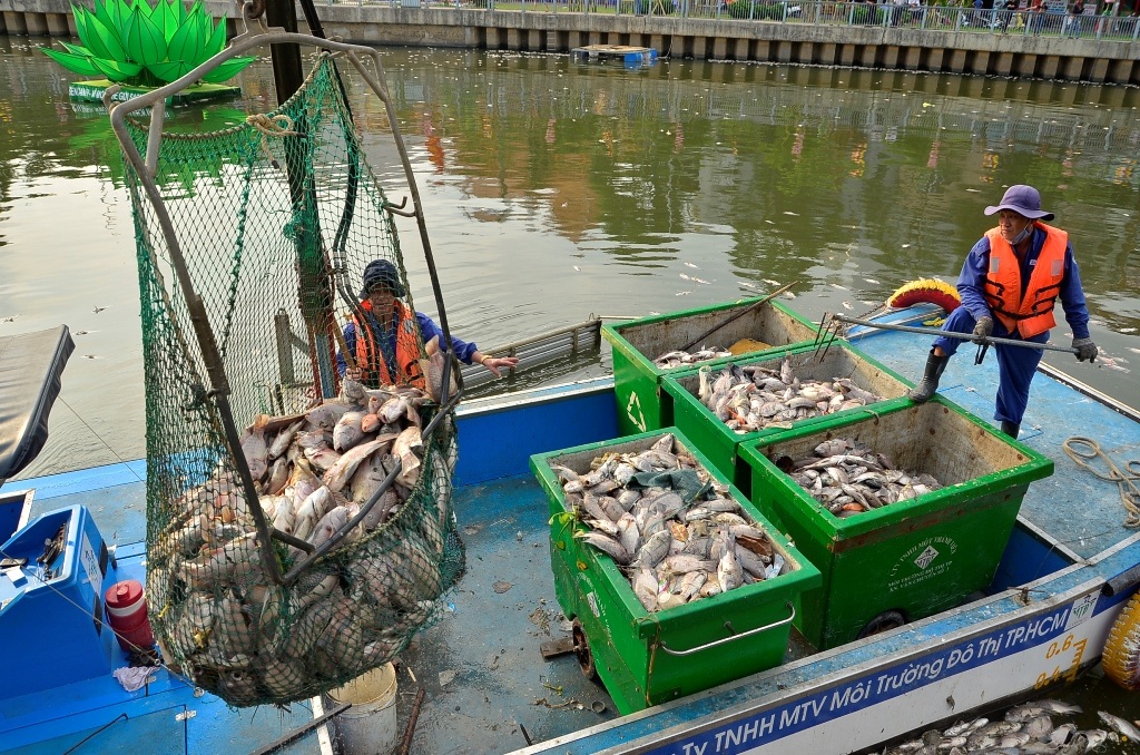 dsc8575-1463487066405