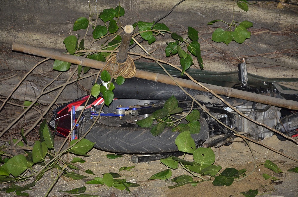 
Cây đổ đè lên ô tô và xe gắn máy
