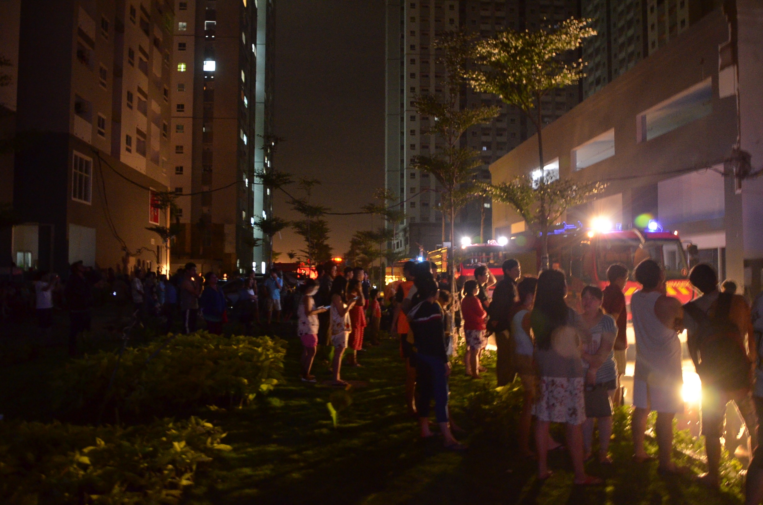 dsc2002-1468621687508