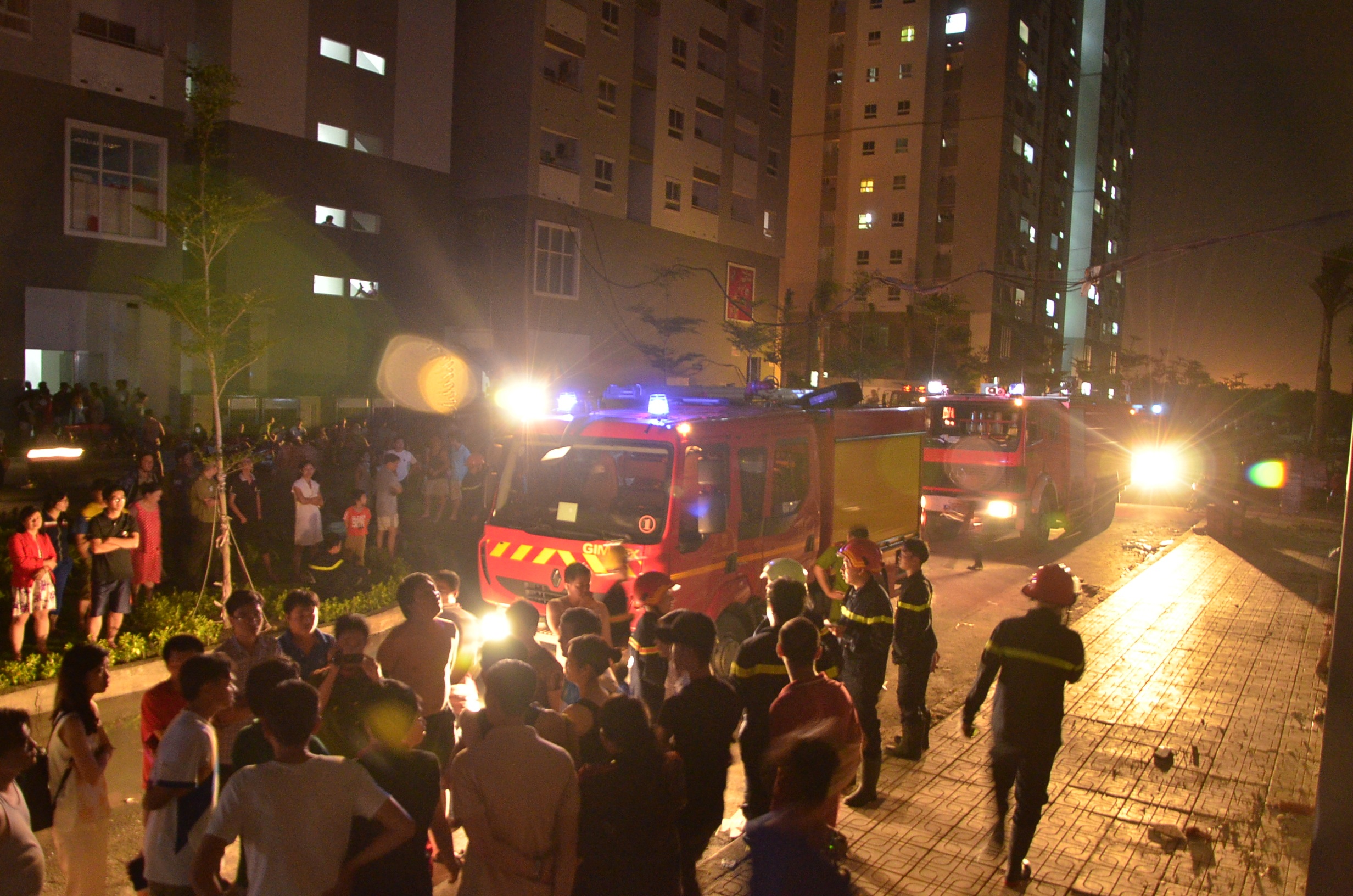 dsc2005-1468621692186