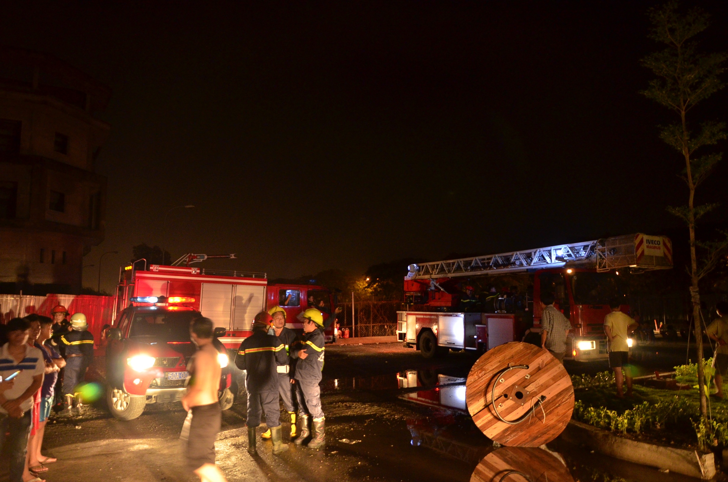 dsc2010-1468621686617