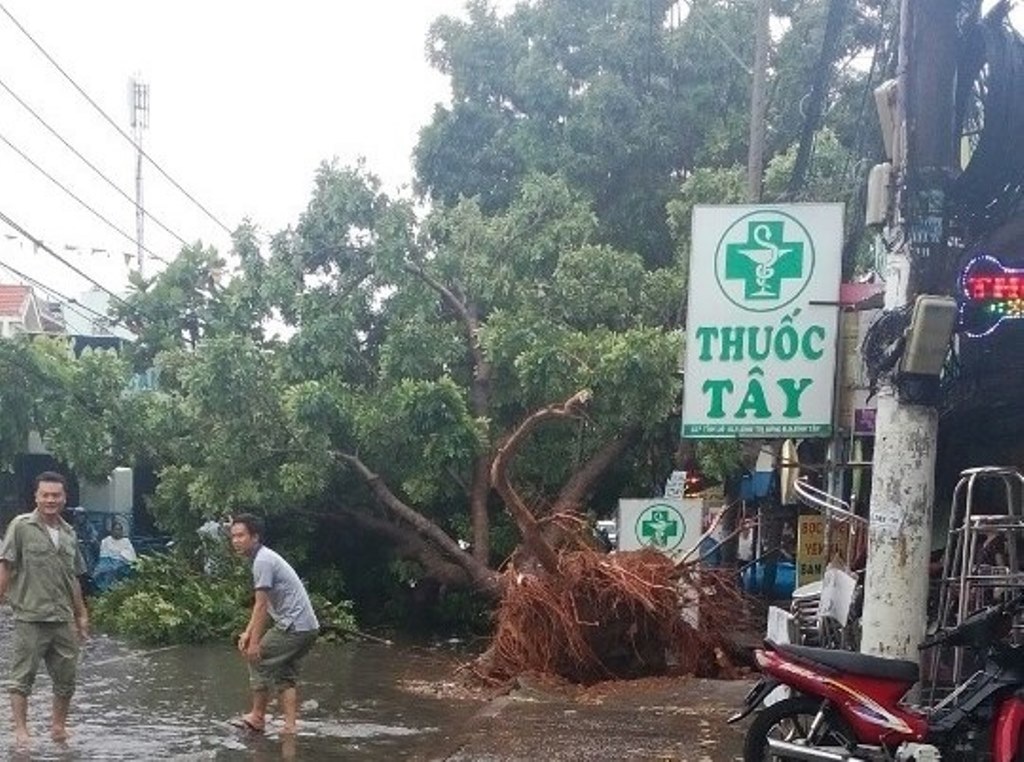 Lặc lè với đường ngập, cây đổ, kẹt xe chiều thứ bảy - 12 12-1469277840049