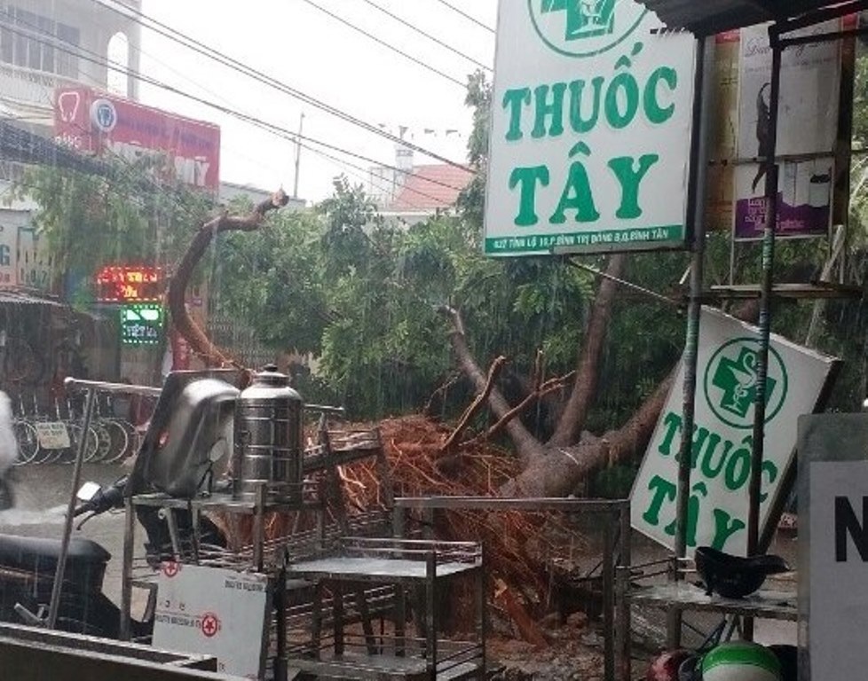 Lặc lè với đường ngập, cây đổ, kẹt xe chiều thứ bảy - 9 9-1469277839851