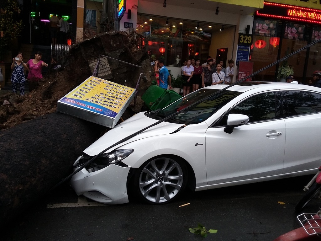 Cây cổ thụ bật gốc đè gần 10 ô tô, xe máy, 1 người chết - 2 Chiếc ô tô bị cây đè móp đầu