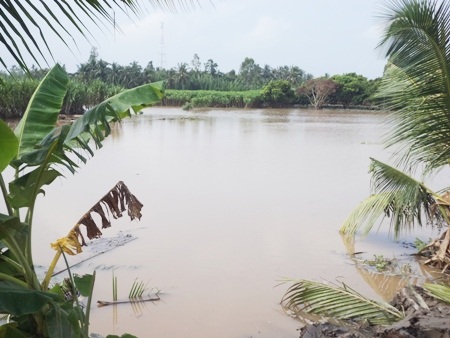 Bao giờ mới hết cảnh đê bao bị vỡ.