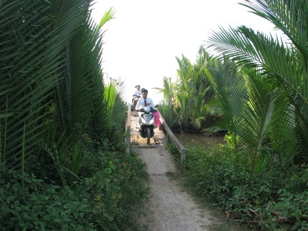 Thú vị cảnh rước dâu ở vùng sông nước miền Tây - 12 Thú vị cảnh rước dâu ở vùng sông nước miền Tây - 12