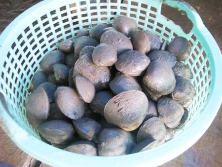 ...và vộp cũng là những đặc sản mà du khách không nên bỏ qua khi về Đất Mũi Cà Mau.