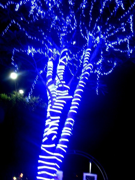 Quảng trường rực rỡ về đêm.