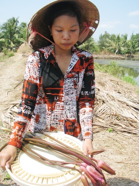 Nhiều năm nay, 4 cha con sống dựa vào ao bông súng. Mỗi ngày, Nữ hái bông súng đi bán kiếm tiền mua gạo ăn qua ngày.