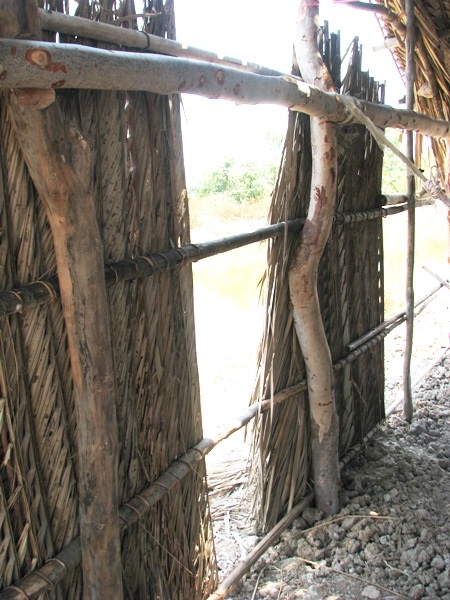 "Bông súng chết, 4 cha con chắc cũng chết theo" - 3