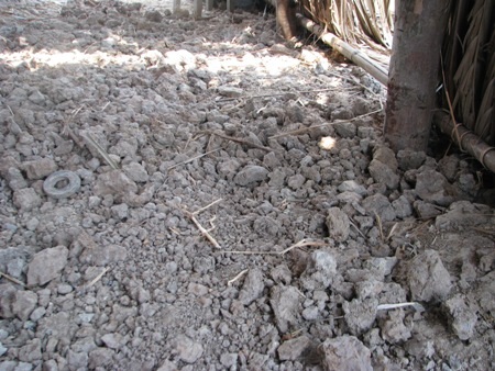 Chỗ trú ngụ của gia đình ông Trần Thanh Sang hết sức tồi tàn.