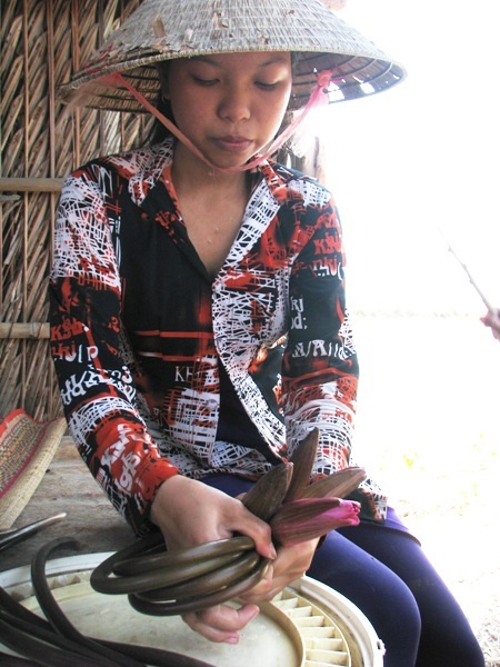 Nay nước mặn tràn vào, bông súng trong ao chết hết, cả gia đình em Nữ đang đứng trước cảnh đói ăn.