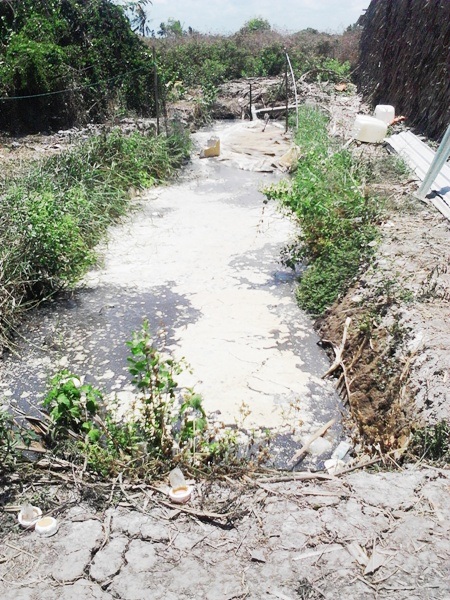 Xóm nghèo một lúc 2 gia đình hứng chịu 3 cái tang - 1 Toàn cảnh hầm biogas nơi xảy ra vụ ngạt khí khiến 3 người tử vong và nhiều người bị thương.