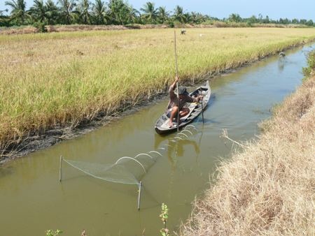 "Giờ dùng một ca nước ngọt cũng phải suy nghĩ!" - 1 Hạn, mặn khắc nghiệt đã gây ảnh hưởng không nhỏ đến việc sản xuất lúa, tôm của người dân Cà Mau.