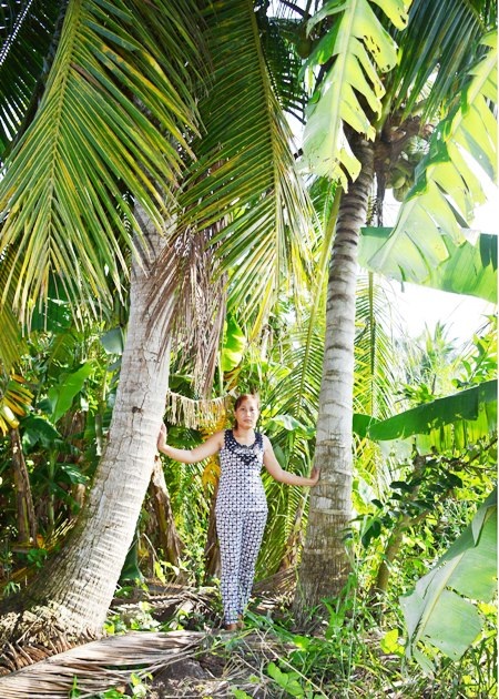 Những cây dừa lâu năm do gia đình bà Tuyến trồng trên đất nên không thể cho rằng xã quản lý đất này.