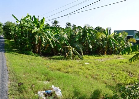 Khu đất đang tranh chấp.