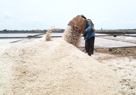 Bán 20 ký muối chưa mua nổi ly cà phê - 1 Giá muối khá thấp khiến nhiều diêm dân lao đao. Hiện tỉnh Bạc Liêu đang tích cực triển khai thu mua tạm trữ để chia sẻ với diêm dân.