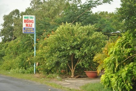 Nhà trọ Hồng Mai, nơi phát hiện em Ng. và đối tượng Lê Chí Bảo ở chung.