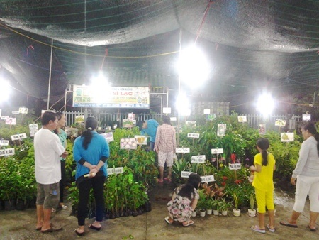 Về lễ hội “Dạ cổ hoài lang” ghé qua hội chợ - 4 ... đến cây trồng nông nghiệp để du khách thoải mái tham quan, lựa chọn mua sắm.