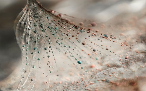 5-c9478 5-c9478