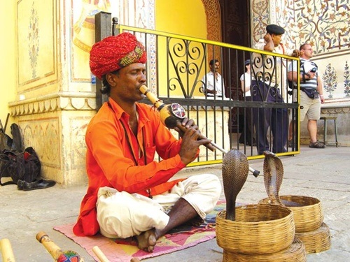 Bộ tộc thôi miên, ăn ngủ cùng rắn độc - 2