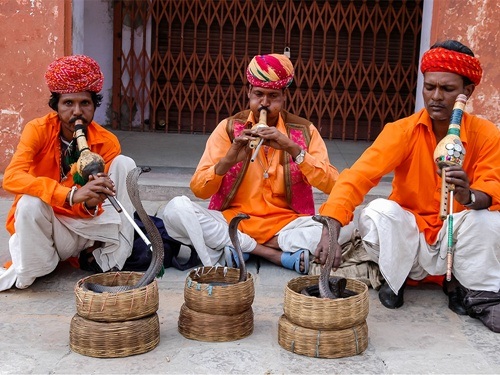 Bộ tộc thôi miên, ăn ngủ cùng rắn độc - 6