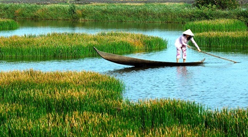 Cà Mau - điểm đến ít được khám phá nhưng nên tới thăm - 1 Cà Mau - điểm đến ít được khám phá nhưng nên tới thăm - 1