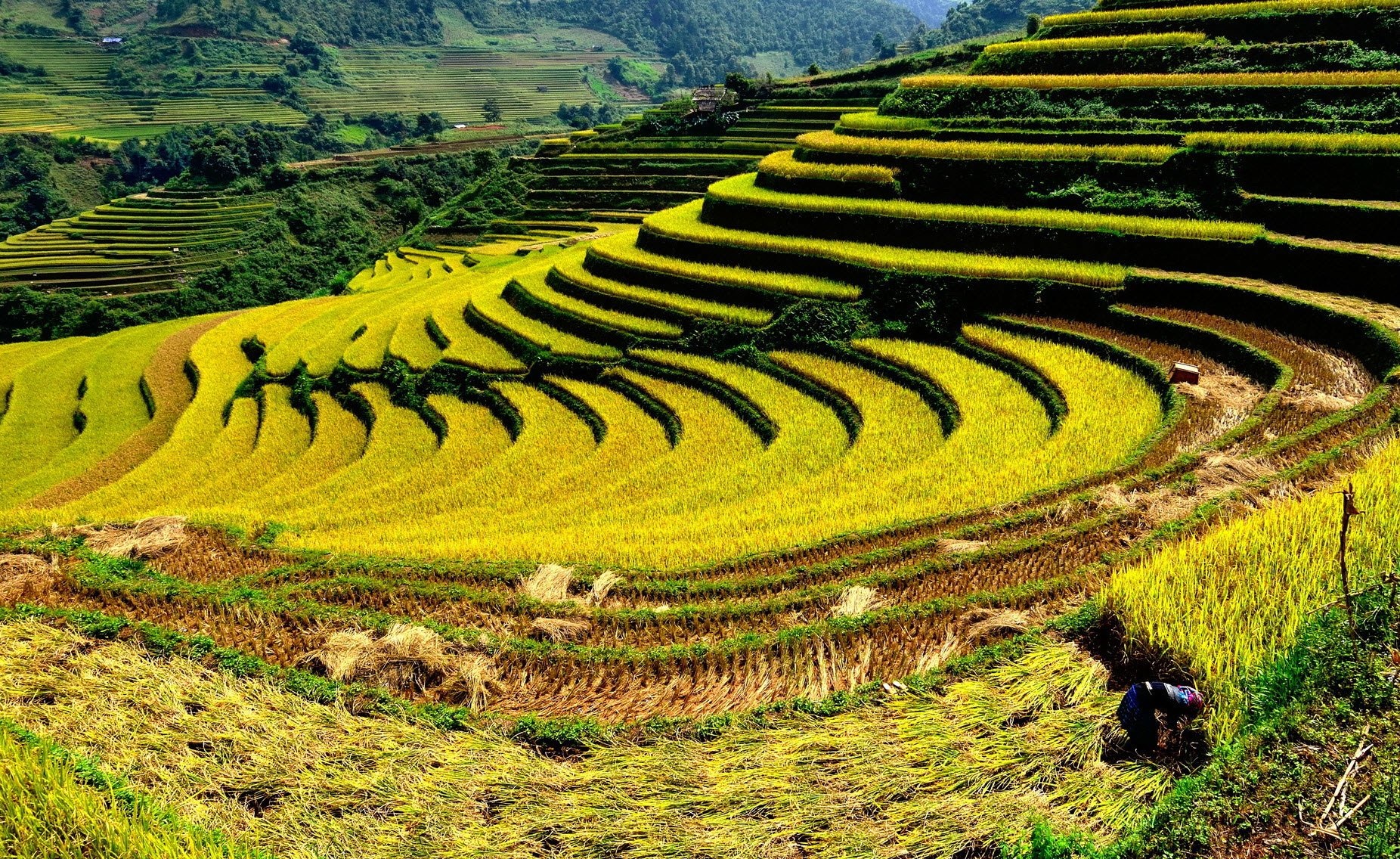 Ngắm những khoảnh khắc mùa thu hút hồn trên thế giới - 10 Ngắm những khoảnh khắc mùa thu hút hồn trên thế giới - 10