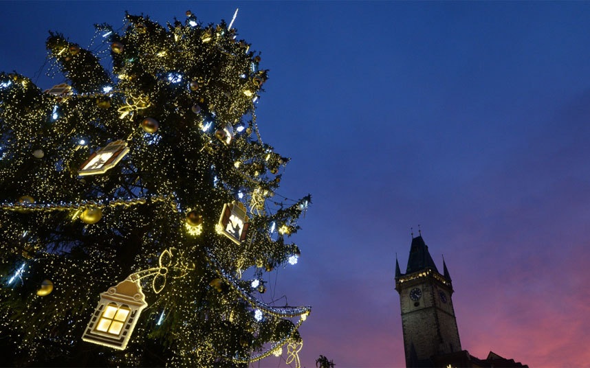 Khám phá những cây thông ấn tượng nhất mùa Giáng sinh - 8