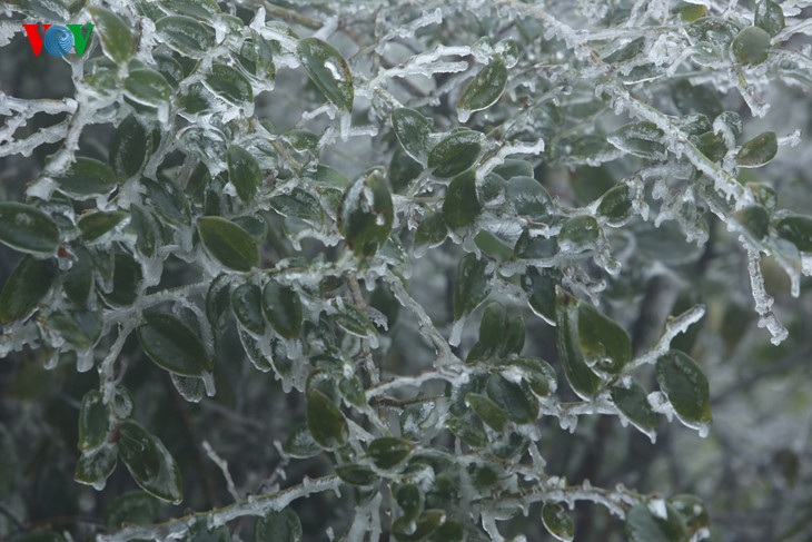 8-1450405874652 8-1450405874652