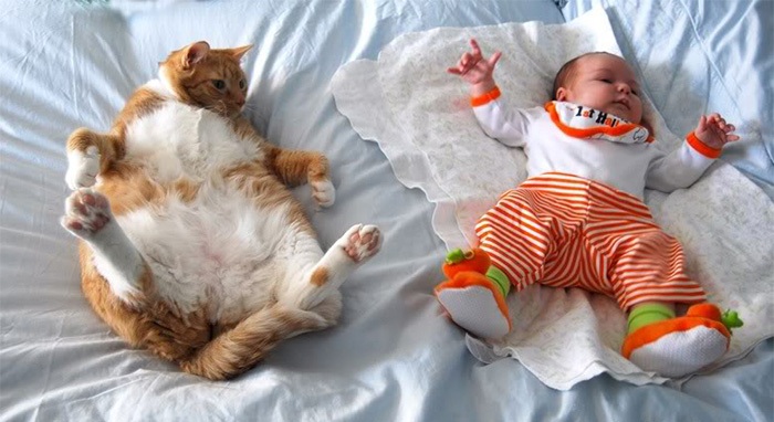 Khoảnh khắc ấm áp của các bé với thú cưng làm “tan chảy” trái tim - 12 Đến cả tư thế ngủ cũng giống nhau đến vậy