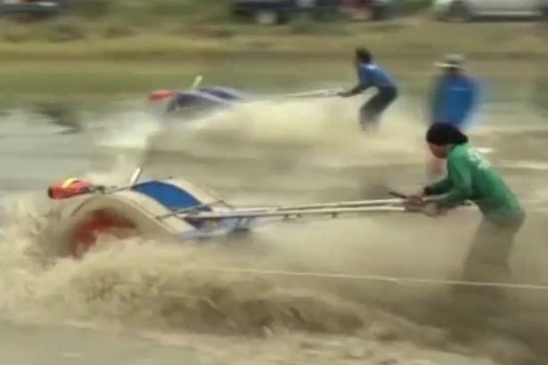 Xem người nông dân đua máy cày như lướt sóng biển - 2 Xem người nông dân đua máy cày như lướt sóng biển - 2