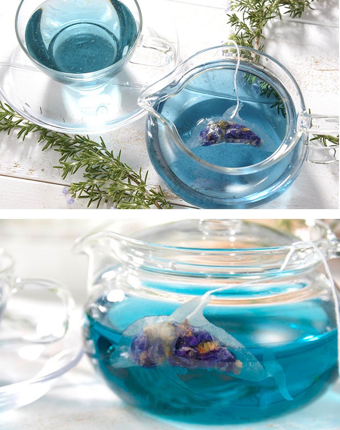 
Túi trà hoa hình chú cá heo xanh
